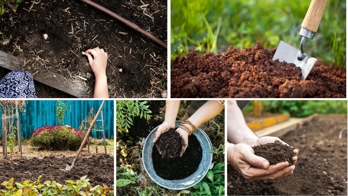 How to Prepare Soil for Planting in Autumn