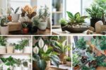 Feng Shui Plants for Health and Prosperity