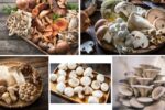 Countries That Produce the Most Mushrooms