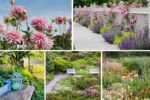 5 Stunning Cottage-Style Flower Beds Full of Charm