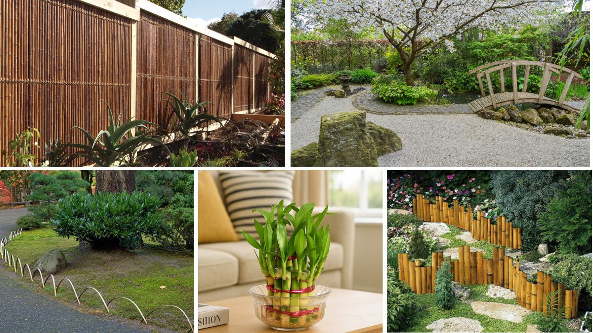 5 Stunning Bamboo-Edged Flower Bed Ideas