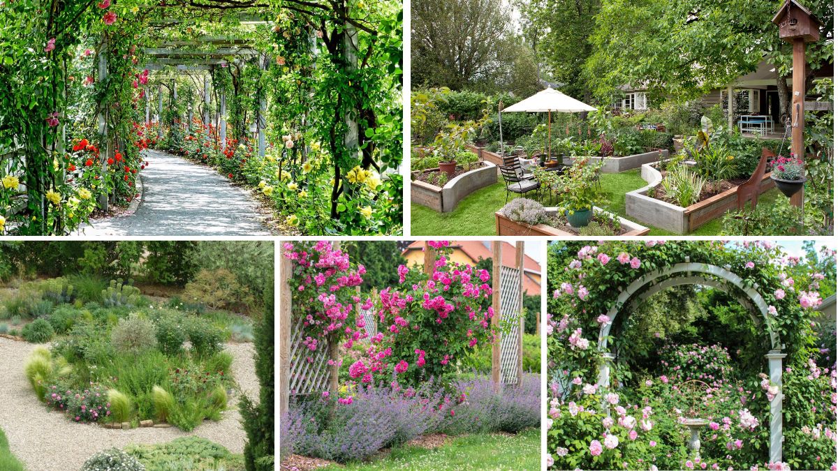 5 Rose Garden Bed Ideas for a Classic Look