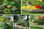 5 Gorgeous Walkway Flower Bed Ideas to Beautify Your Garden Path