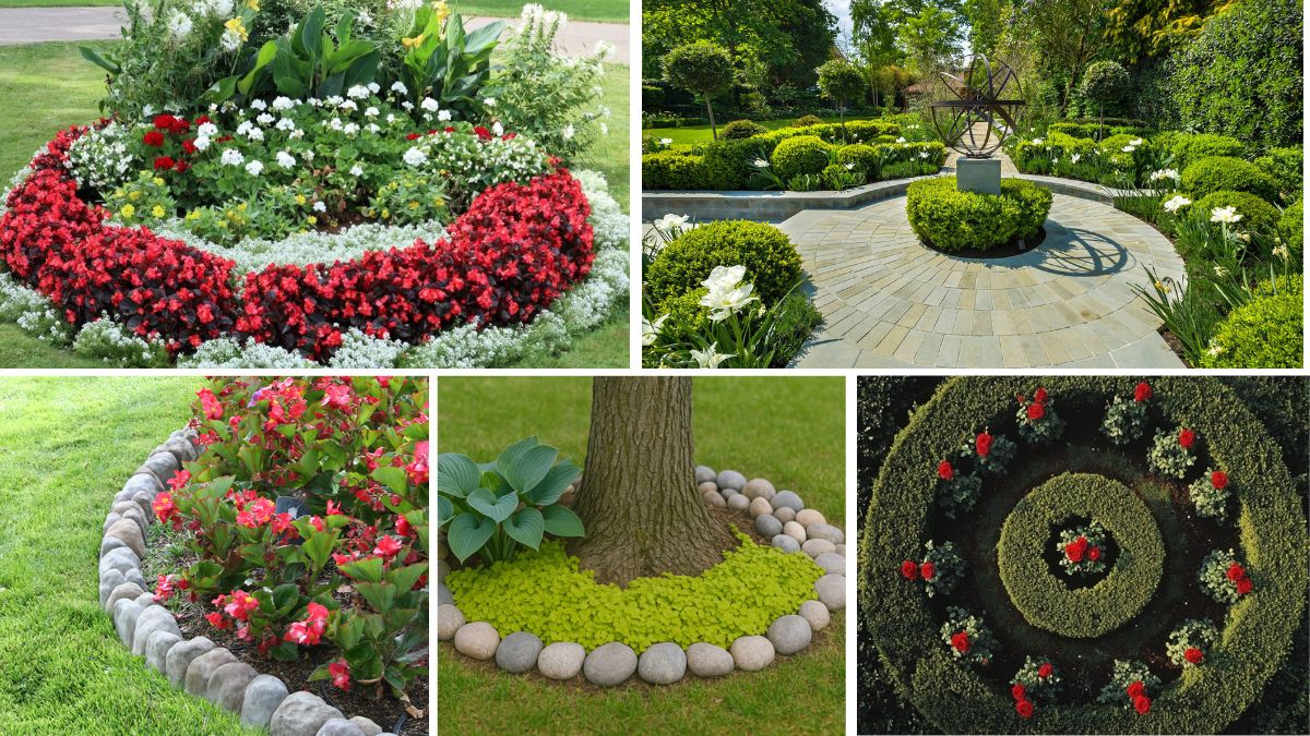 5 Eye-Catching Circular Flower Bed Ideas to Upgrade Your Garden