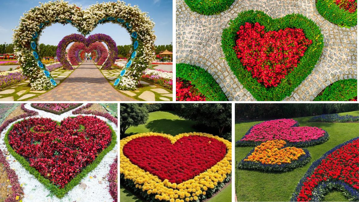 5 Creative Heart Shaped Flower Bed Ideas for a Lovely Garden Makeover