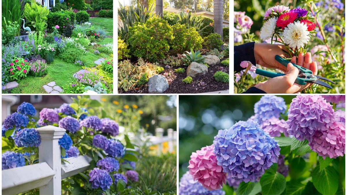 5 Beautiful Low-Maintenance Flower Beds for Busy Gardeners