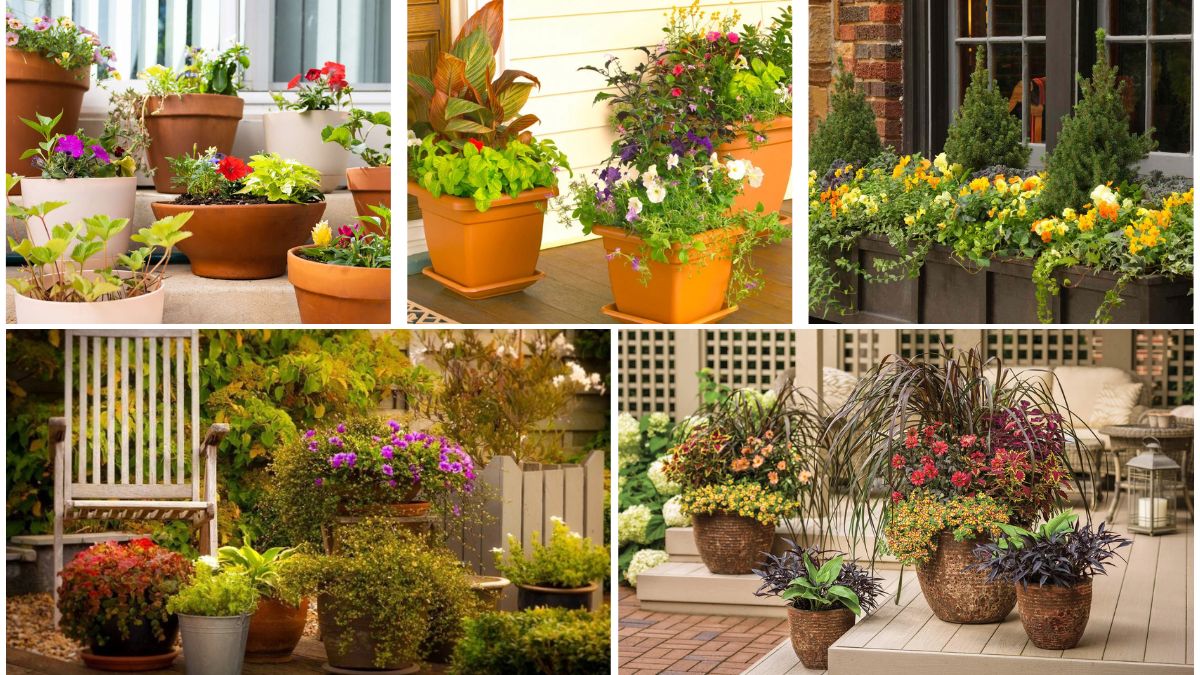 5 Gorgeous Container-Friendly Flower Beds for Any Home