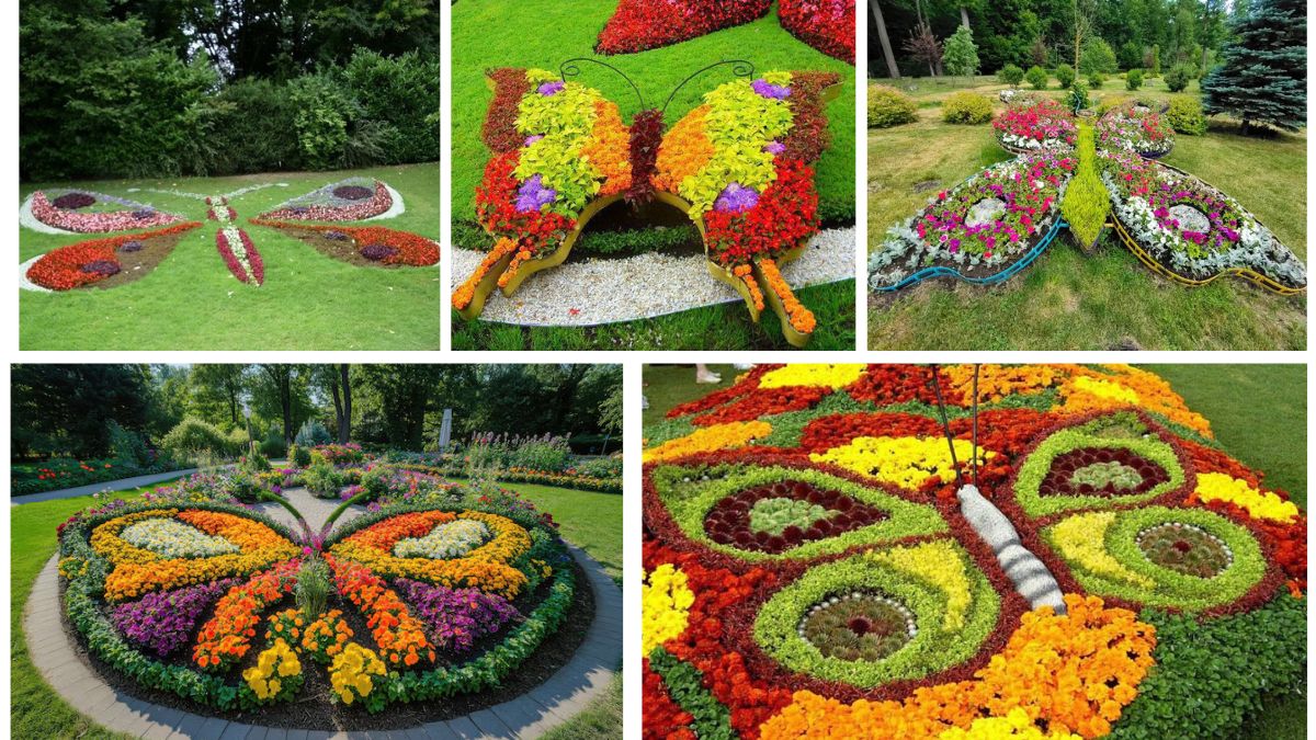 5 Creative Butterfly-Shaped Flower Beds for Pollinator-Friendly Spaces