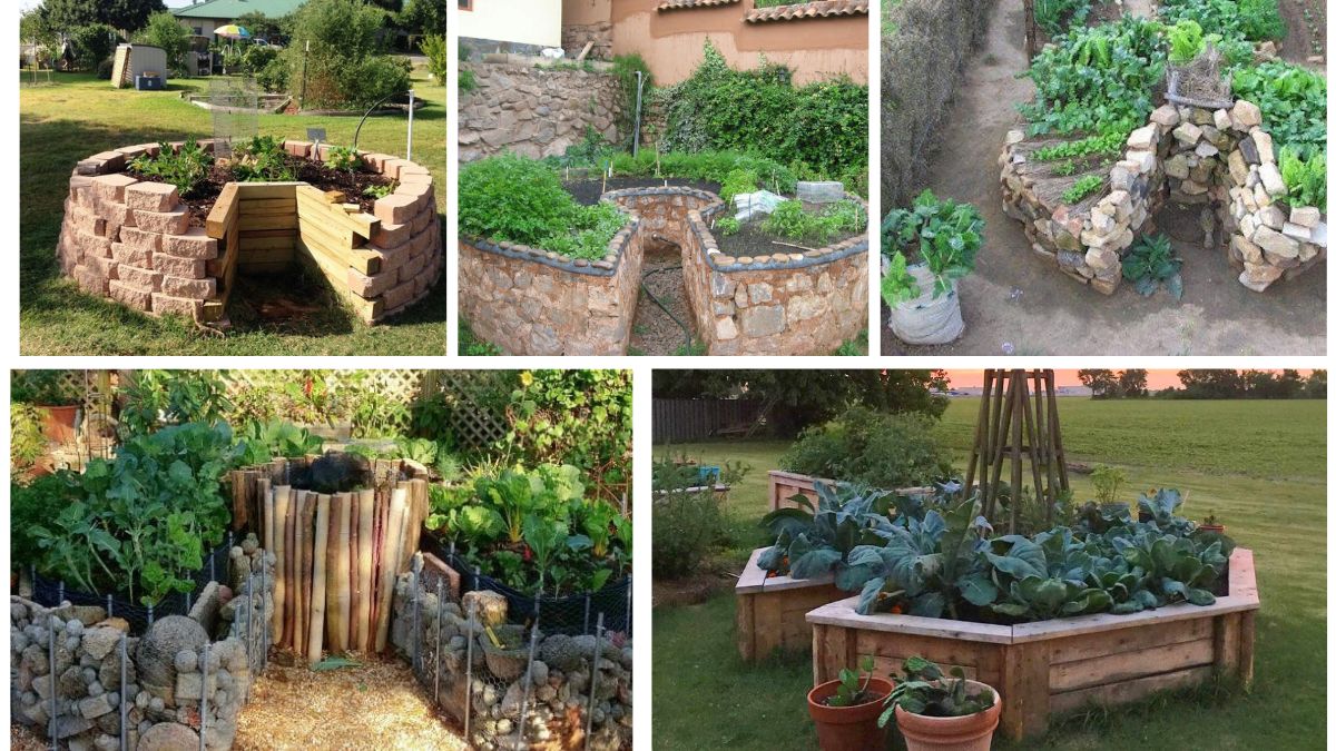 5 Unique Keyhole Garden Flower Beds for Sustainability and Style