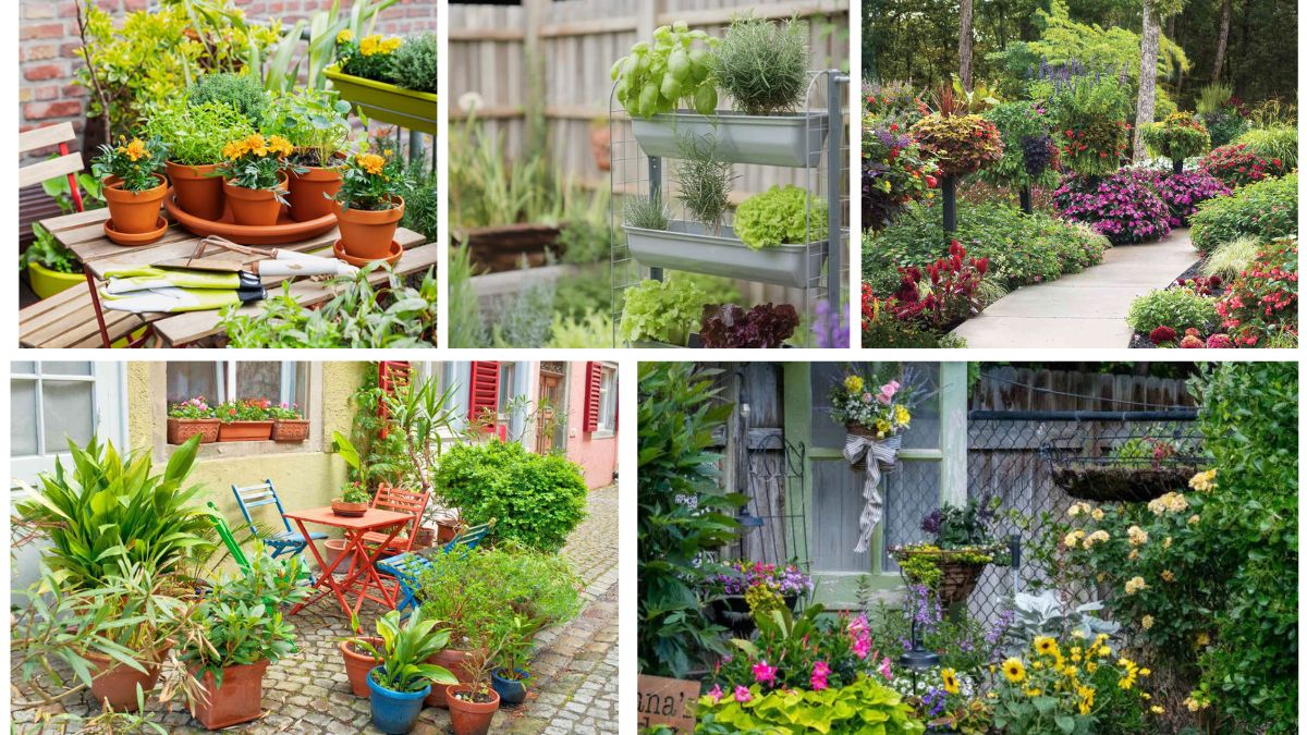 5 Stunning Corner Flower Bed Ideas to Elevate Your Garden’s Charm