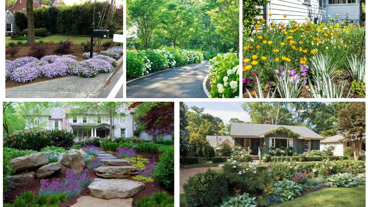 5 Unique Driveway Flower Bed Ideas to Elevate Your Garden’s Entrance