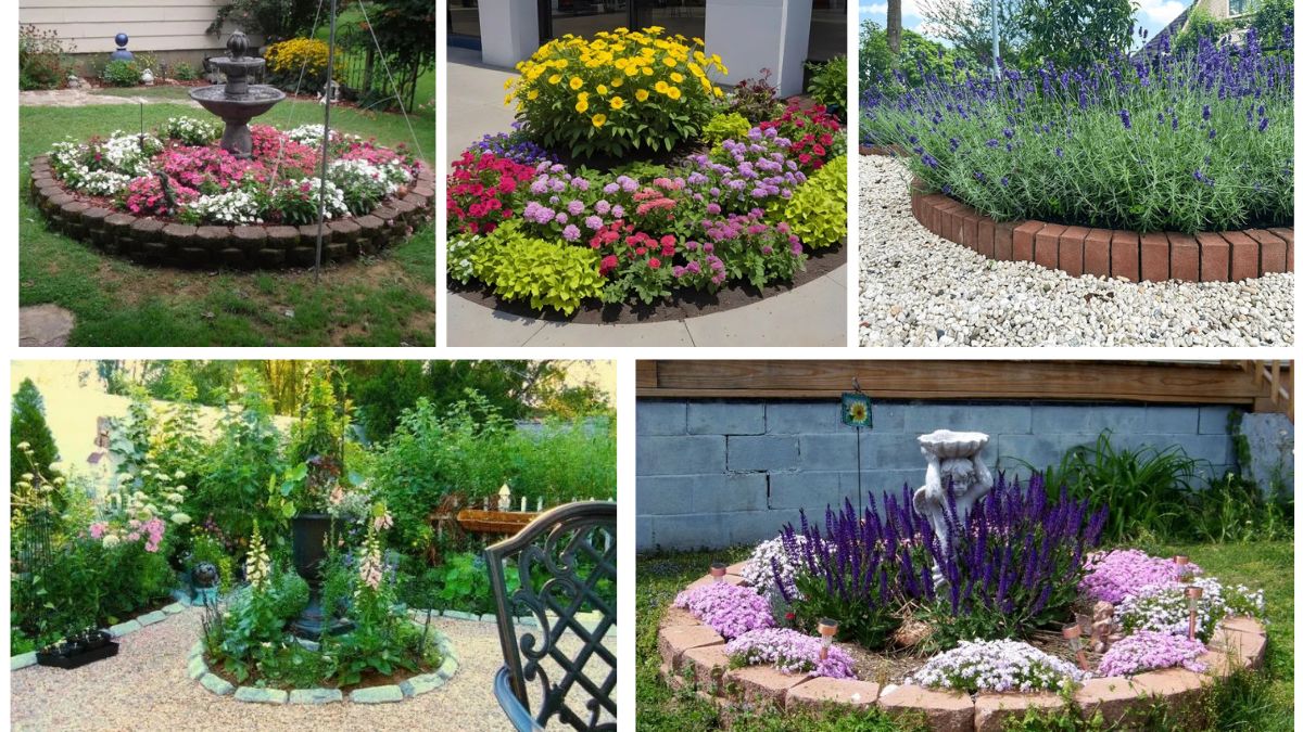 5 Circular Flower Bed Ideas to Make Your Garden Stand Out