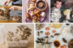Beginner’s Guide to Planting Mushrooms Indoors