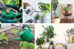 Guide to Bottom-Watering Plants for Strong Root Systems