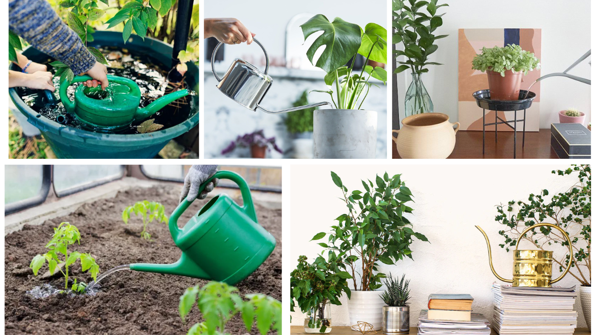 Guide to Bottom-Watering Plants for Strong Root Systems