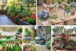 How to Set Up a Container Garden on a Balcony