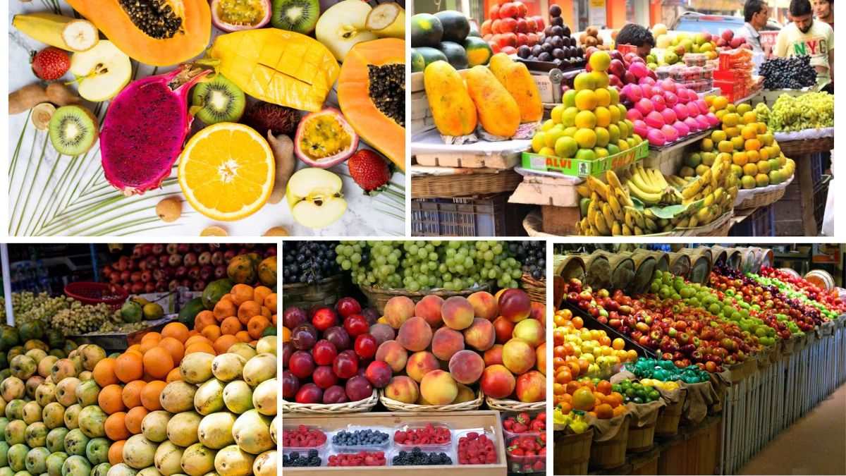 Fruit Supply Chain Explained Simply