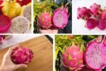 Which Country Leads as the Largest Dragon Fruit Importer?