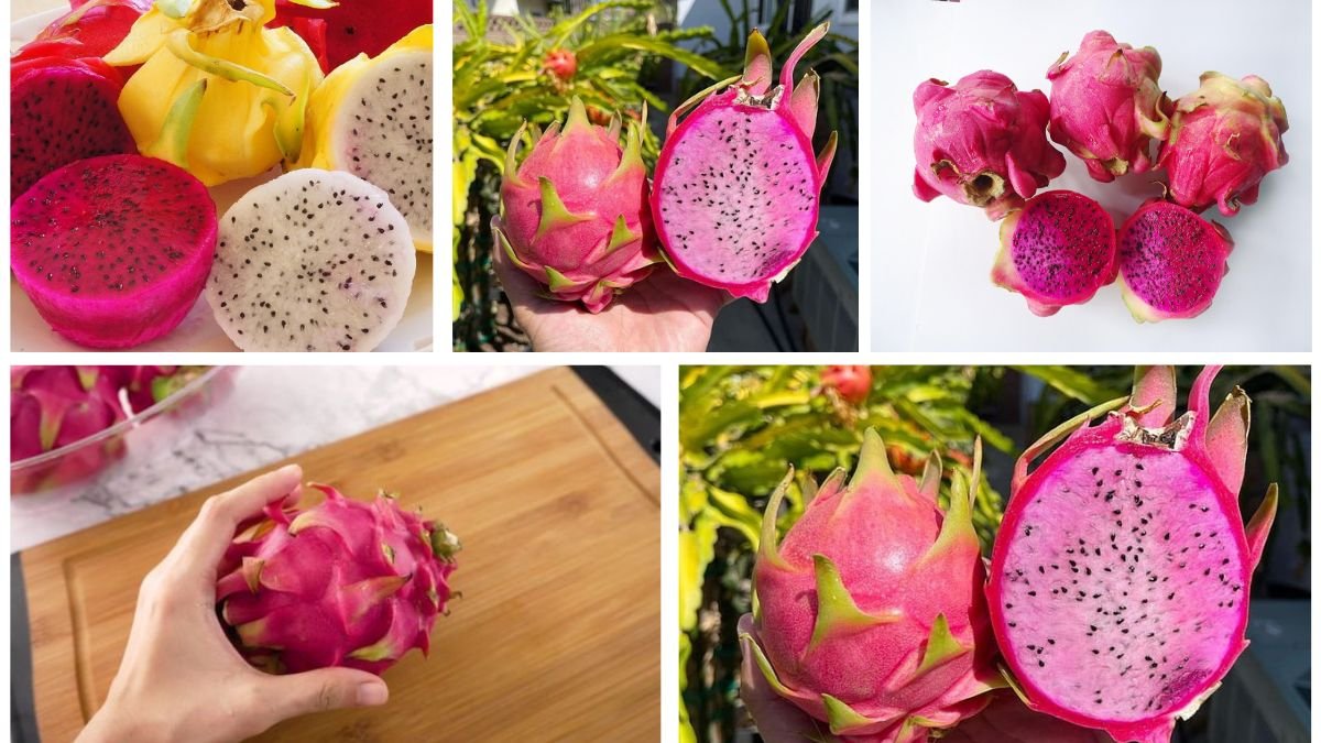 Which Country Leads as the Largest Dragon Fruit Importer?