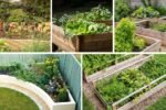 How to Start a Raised Bed Garden From Scratch