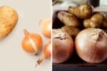 I Started Storing Onions and Potatoes Separately — And They Stopped Sprouting So Fast