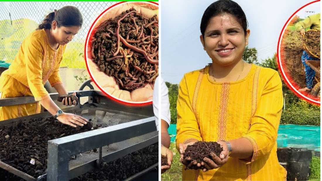 She Left a Government Job for the Soil: How a Young Woman Built a Rs 50 Lakh Vermicompost Business in Rural Maharashtra