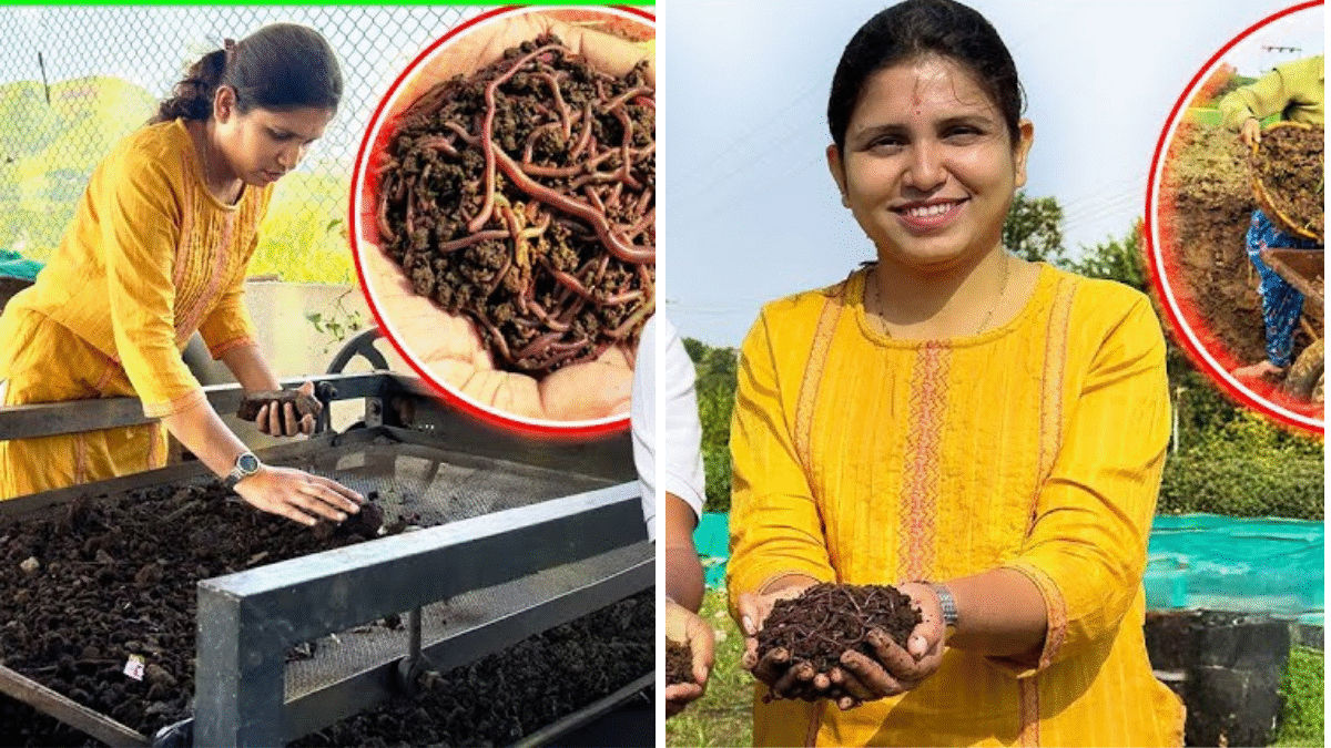 She Left a Government Job for the Soil: How a Young Woman Built a Rs 50 Lakh Vermicompost Business in Rural Maharashtra