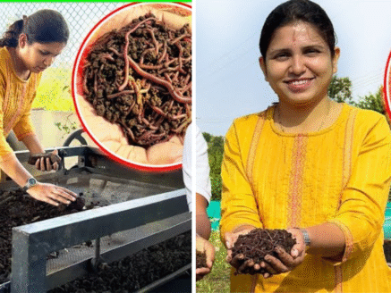 She Left a Government Job for the Soil: How a Young Woman Built a Rs 50 Lakh Vermicompost Business in Rural Maharashtra