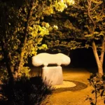 lodhi garden night view